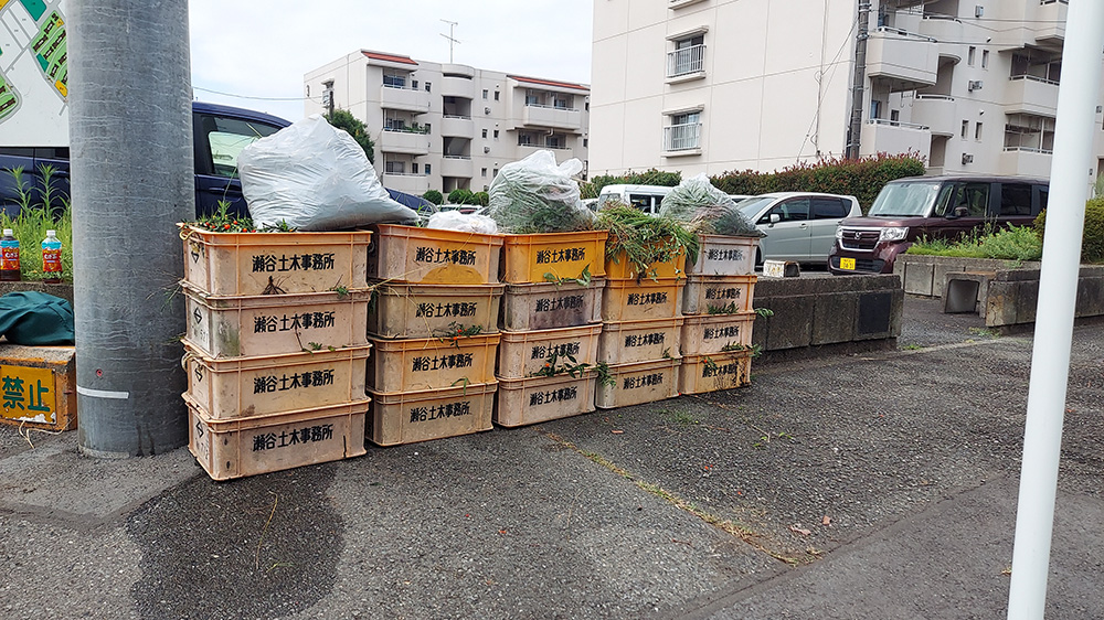 瀬谷第二地区連合自治会内の橋戸原自治会にて開催された、町内一斉清掃のイメージ画像です。