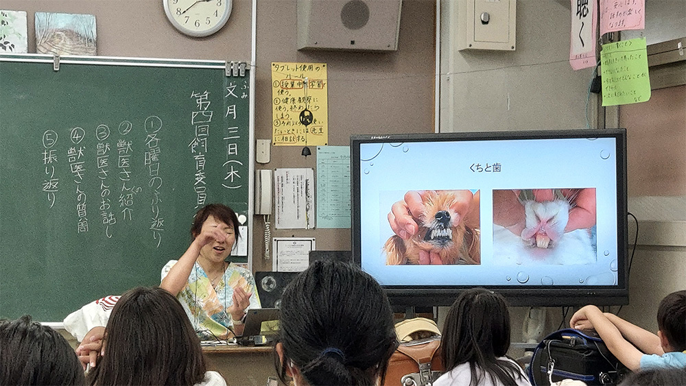 瀬谷第二地区にある、瀬谷第二小学校で開催された「ウサギの飼育方法」のイメージ画像です。