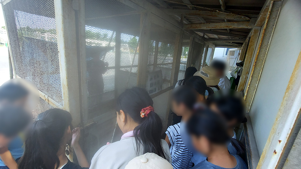 瀬谷第二地区にある、瀬谷第二小学校で開催された「ウサギの飼育方法」のイメージ画像です。