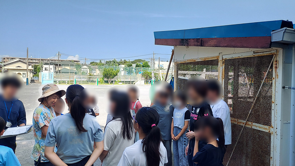 瀬谷第二地区にある、瀬谷第二小学校で開催された「ウサギの飼育方法」のイメージ画像です。